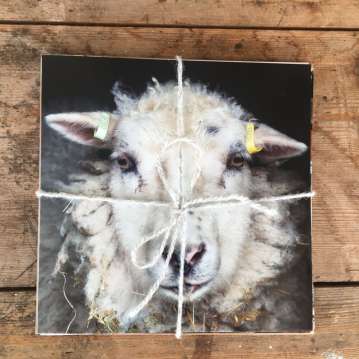 Sheepy Greetings Cards - Image 2