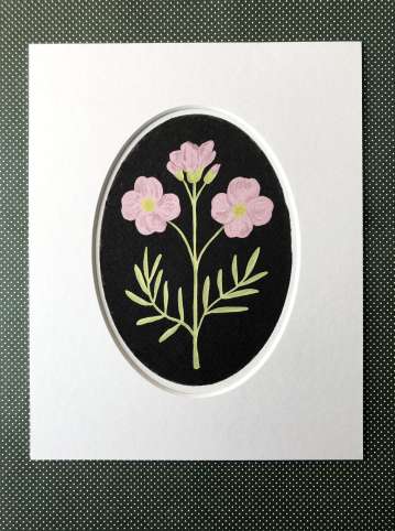 Cuckooflower Art Print - Image 3